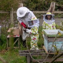 IMG_5665 06/10/2019 - Les petits enfants d'Harriet et Sergio ont droit à leur formation d'apiculteurs à Frutillar. Back in Frutillar where Sergio and Harriet's...